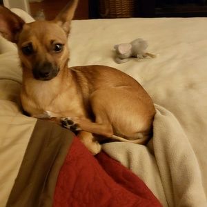 Meet your Posher, Nadia